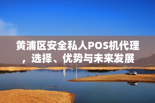 黄浦区安全私人POS机代理，选择、优势与未来发展