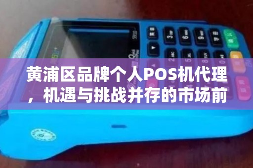 黄浦区品牌个人POS机代理，机遇与挑战并存的市场前景