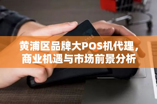 黄浦区品牌大POS机代理，商业机遇与市场前景分析