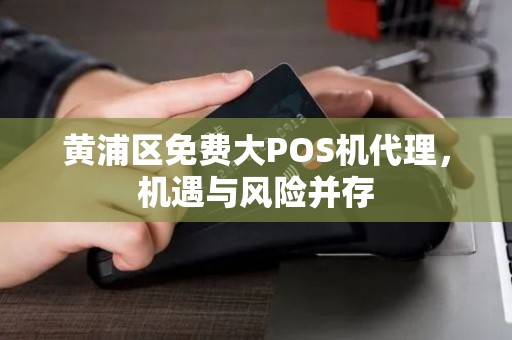 黄浦区免费大POS机代理，机遇与风险并存