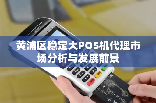 黄浦区稳定大POS机代理市场分析与发展前景