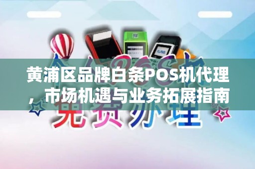 黄浦区品牌白条POS机代理，市场机遇与业务拓展指南