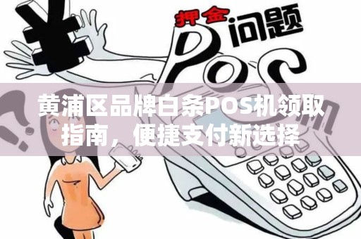 黄浦区品牌白条POS机领取指南，便捷支付新选择