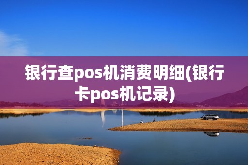 银行查pos机消费明细(银行卡pos机记录)