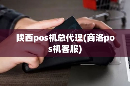 陕西pos机总代理(商洛pos机客服)