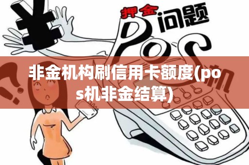 非金机构刷信用卡额度(pos机非金结算)