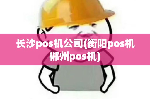 长沙pos机公司(衡阳pos机郴州pos机)