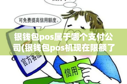银钱包pos属于哪个支付公司(银钱包pos机现在限额了吗)