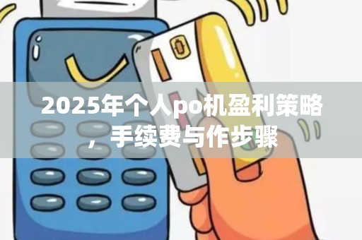 2025年个人po机盈利策略，手续费与作步骤