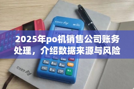 2025年po机销售公司账务处理，介绍数据来源与风险