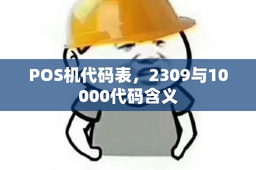 POS机代码表，2309与10000代码含义