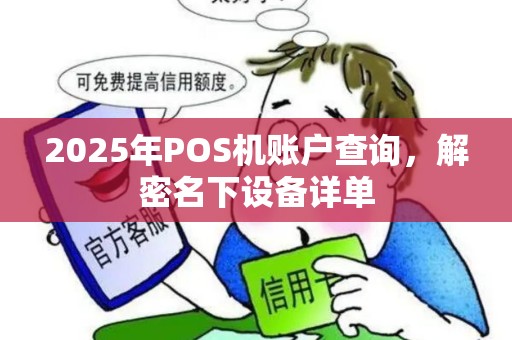 2025年POS机账户查询，解密名下设备详单