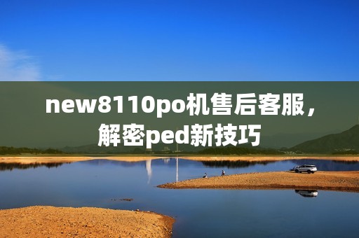 new8110po机售后客服，解密ped新技巧