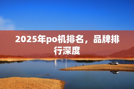 2025年po机排名，品牌排行深度