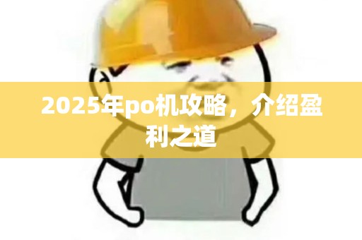 2025年po机攻略，介绍盈利之道
