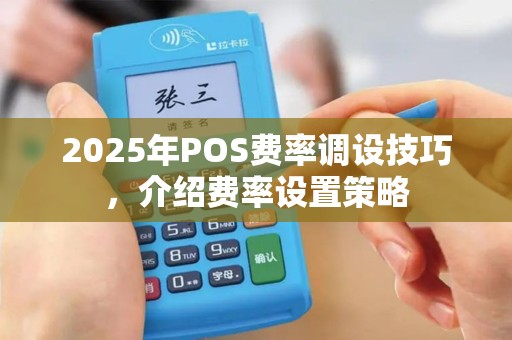 2025年POS费率调设技巧，介绍费率设置策略