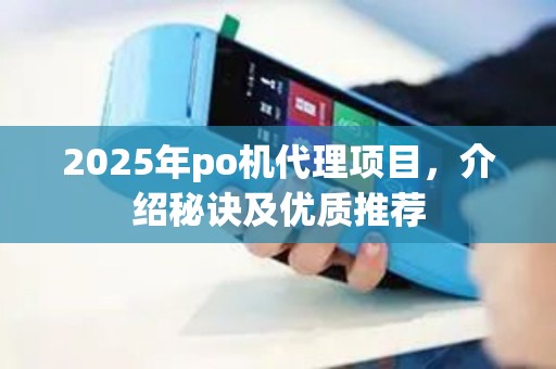 2025年po机代理项目，介绍秘诀及优质推荐