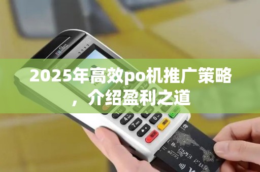 2025年高效po机推广策略，介绍盈利之道