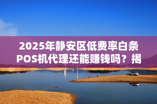 2025年静安区低费率白条POS机代理还能赚钱吗？揭秘行业真相与避坑指南
