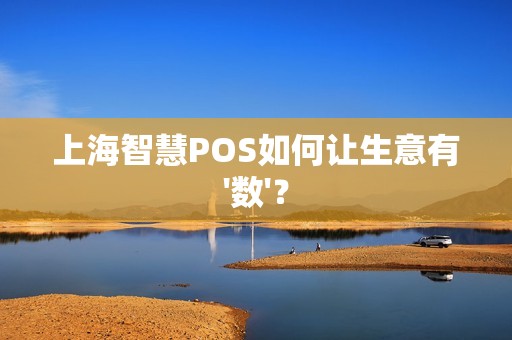 上海智慧POS如何让生意有'数'？