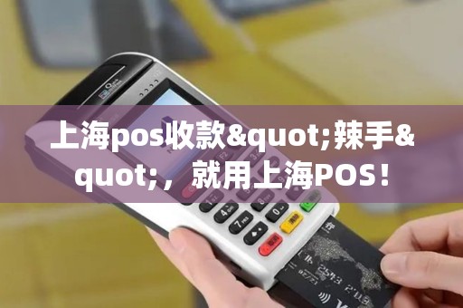 上海pos收款"辣手"，就用上海POS！