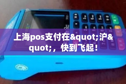 上海pos支付在"沪"，快到飞起！