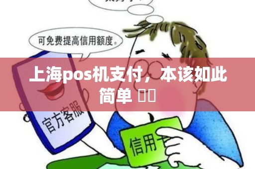 上海pos机支付，本该如此简单 ➡️