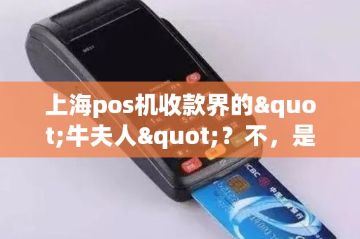 上海pos机收款界的"牛夫人"？不，是你的"小甜甜"！