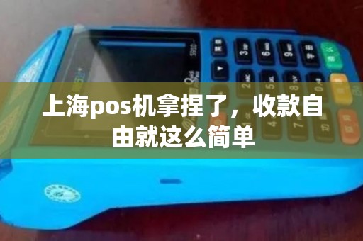 上海pos机拿捏了，收款自由就这么简单