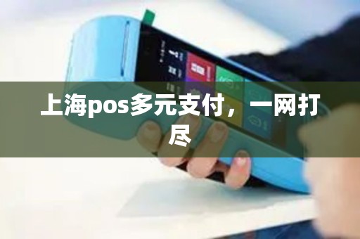 上海pos多元支付，一网打尽