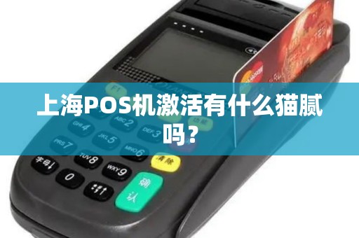 上海POS机激活有什么猫腻吗？