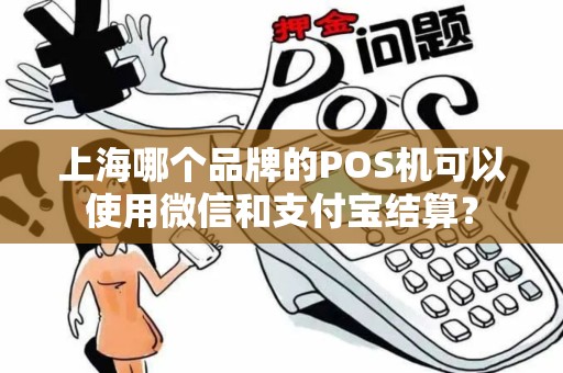 上海哪个品牌的POS机可以使用微信和支付宝结算？