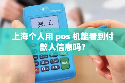上海个人用 pos 机能看到付款人信息吗？