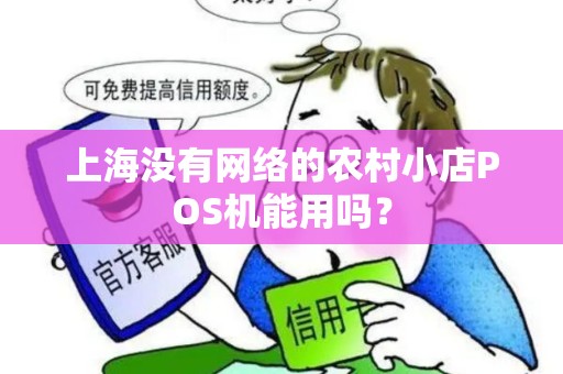 上海没有网络的农村小店POS机能用吗？