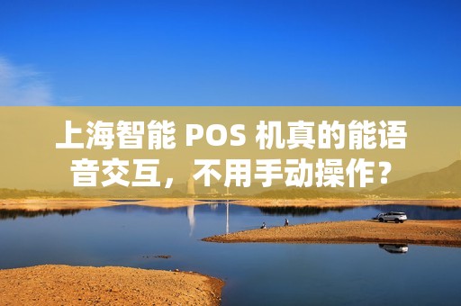 上海智能 POS 机真的能语音交互，不用手动操作？