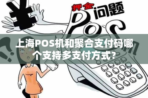 上海POS机和聚合支付码哪个支持多支付方式？
