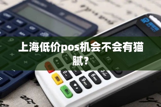上海低价pos机会不会有猫腻？