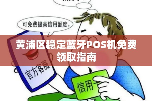 黄浦区稳定蓝牙POS机免费领取指南
