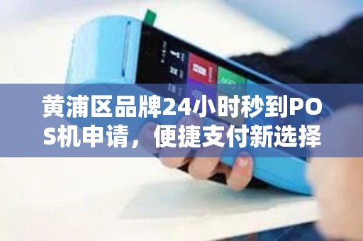 黄浦区品牌24小时秒到POS机申请，便捷支付新选择
