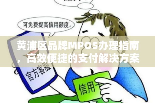 黄浦区品牌MPOS办理指南，高效便捷的支付解决方案