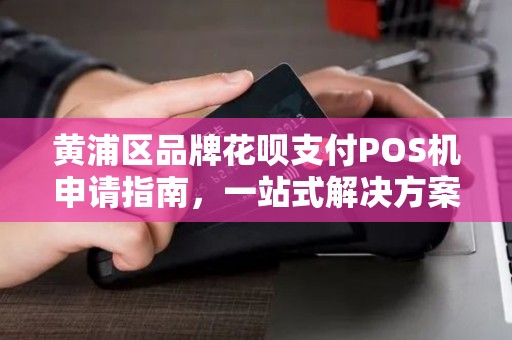 黄浦区品牌花呗支付POS机申请指南，一站式解决方案