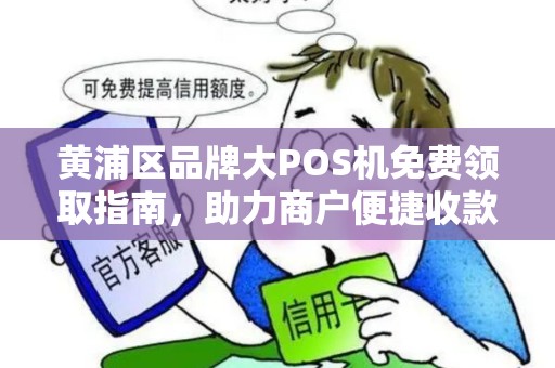 黄浦区品牌大POS机免费领取指南，助力商户便捷收款