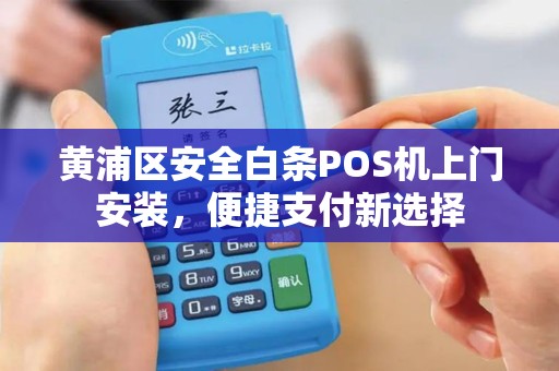 黄浦区安全白条POS机上门安装，便捷支付新选择