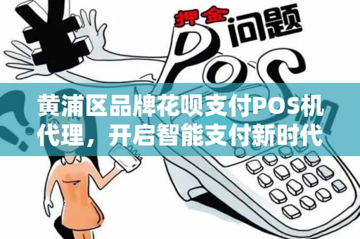 黄浦区品牌花呗支付POS机代理，开启智能支付新时代