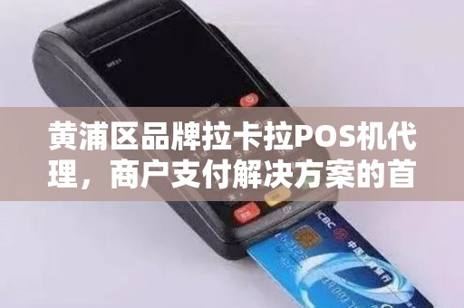 黄浦区品牌拉卡拉POS机代理，商户支付解决方案的首选