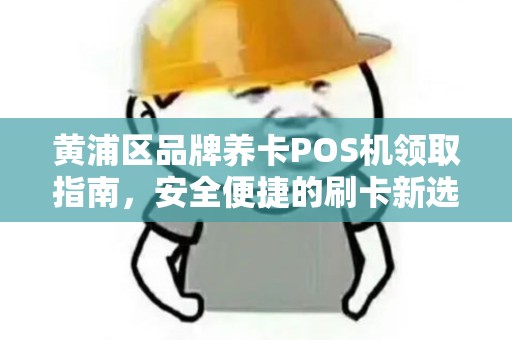 黄浦区品牌养卡POS机领取指南，安全便捷的刷卡新选择