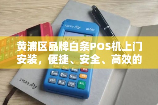 黄浦区品牌白条POS机上门安装，便捷、安全、高效的支付解决方案