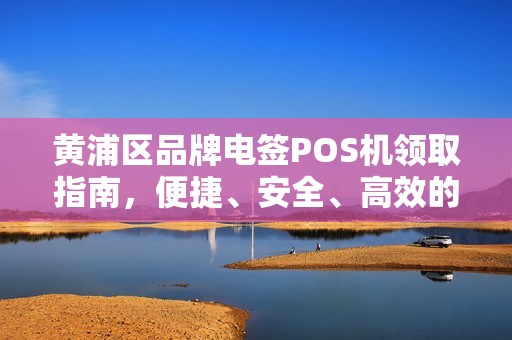 黄浦区品牌电签POS机领取指南，便捷、安全、高效的选择