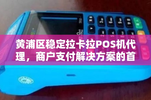 黄浦区稳定拉卡拉POS机代理，商户支付解决方案的首选