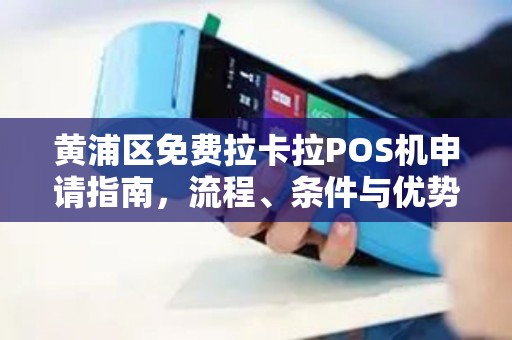 黄浦区免费拉卡拉POS机申请指南，流程、条件与优势详解